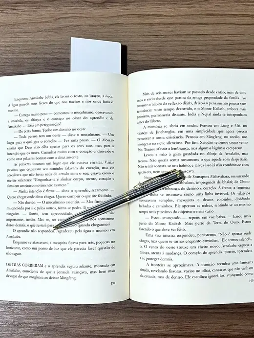 Páginas internas do livro físico Mate Seus Sonhos